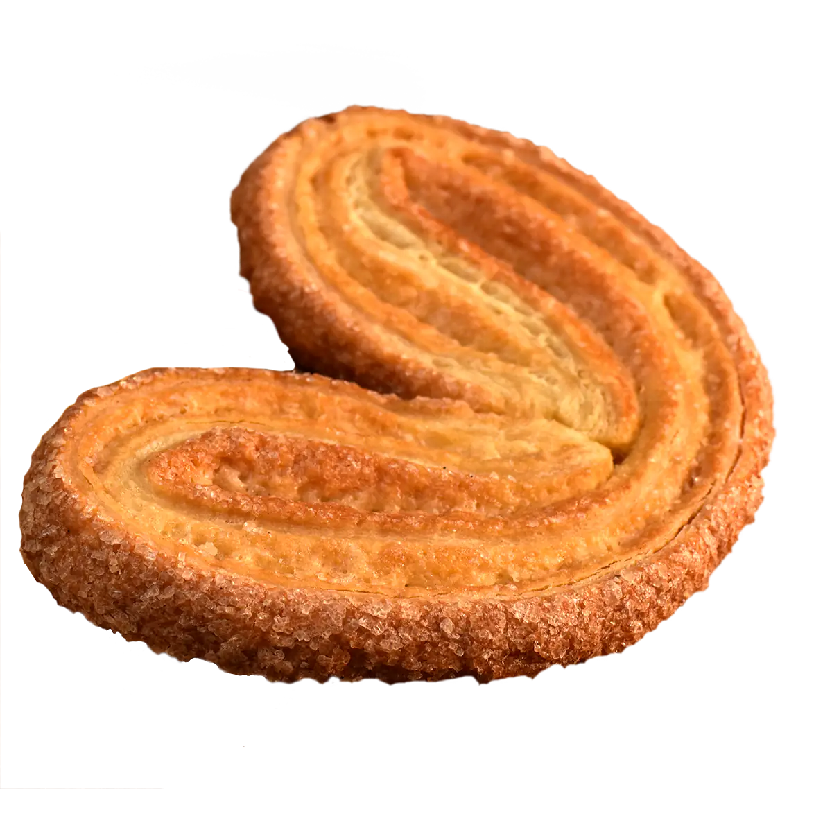 Mini Orejita